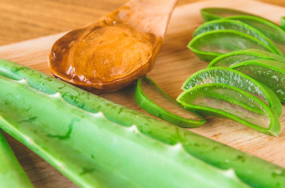 Les applications étonnantes de L’aloès Vera!